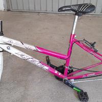telaio mountain bike mtb