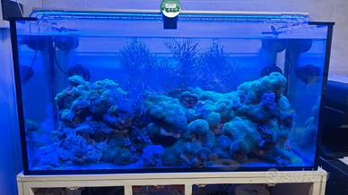 Acquario Marino 380 litri