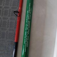 Canna da pesca tricolore