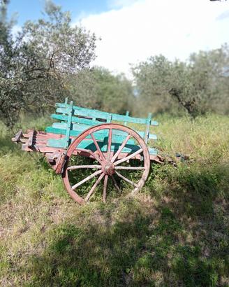 carrozza arredo giardino 