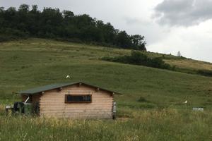 Terreno e annesso