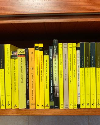 TRENTA  LIBRI GIALLI