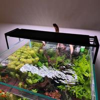 Acquario completo 125 lt
