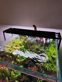 Acquario completo 125 lt