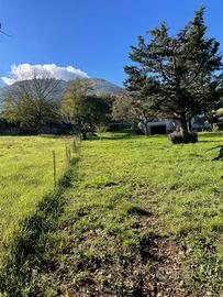 Terreno edificabile - Segni