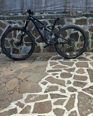 bici enduro specialized