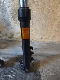 Forcella Bmw F700 2016 