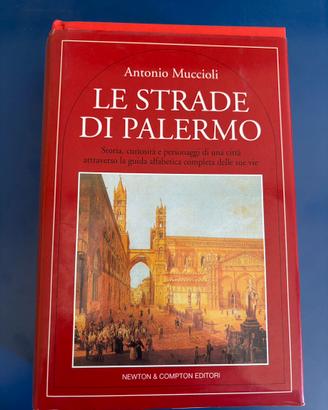 Le strade di Palermo