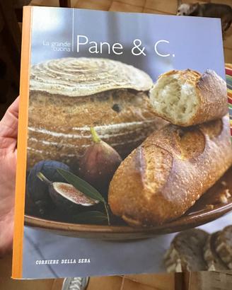 Collana editoriale La grande cucina