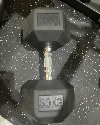 Coppia Manubri palestra 30kg  nuovi