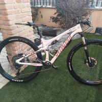 mtb full carbon 29 specialized 