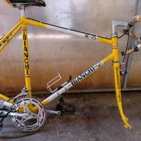bicicletta da corsa campagnolo