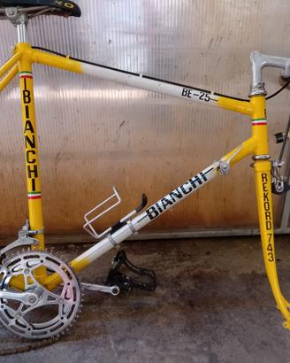 bicicletta da corsa campagnolo