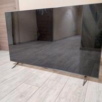 Televisore LG 65" QNED con schermo danneggiato