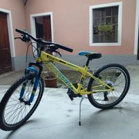 Bici bambino