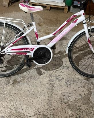 bicicletta casadei