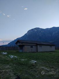 Capanno agricolo 90mq e campagna