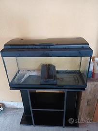 acquario 100 litri