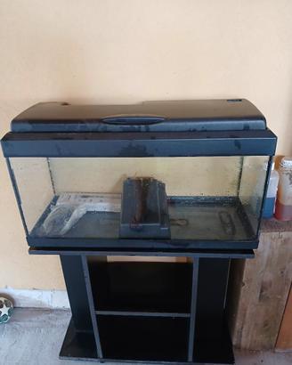 acquario 100 litri