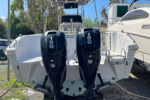 Coppia motori Mercury 150 XL