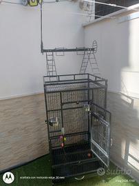 gabbia per pappagalli