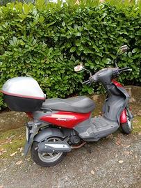 Sarkcyber Altro modello - 2008