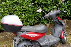 Sarkcyber Altro modello - 2008