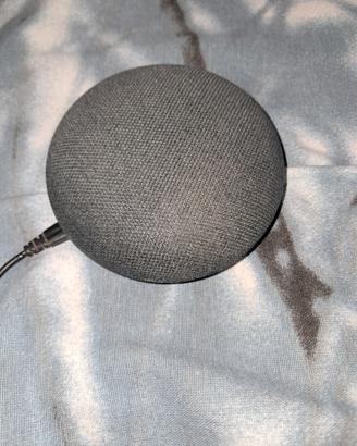  Google Home Mini con Altoparlante no alexa micro