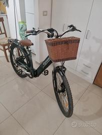 bicicletta elettrica 