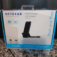 Netgear N300 