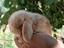 Immagine 3