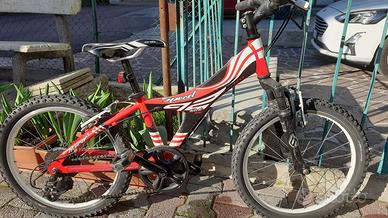 Bici ragazzi 20"