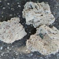 ROCCE PER ACQUARIO ACQUA DOLCE PESO 23 KG.