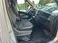 Immagine 25