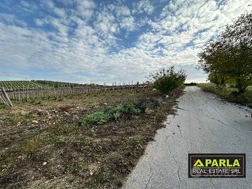 Terreno di 13000 m² a Canicattì