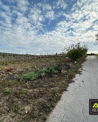 Terreno di 13000 m² a Canicattì