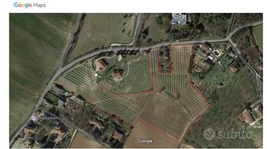 Terreno coltivato a Noccioleto