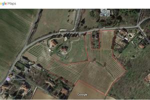 Terreno coltivato a Noccioleto