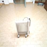 Calorifero  elettrico con termostato a Euro 50.