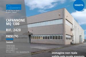 Capannone 1300 mq a Paese (TV) Rif. 2420