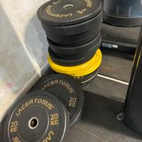 Dischi bumper misti foro 50 -Lacertosus,technogym