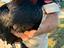 Immagine 4