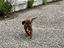 Immagine 4