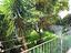Immagine 14