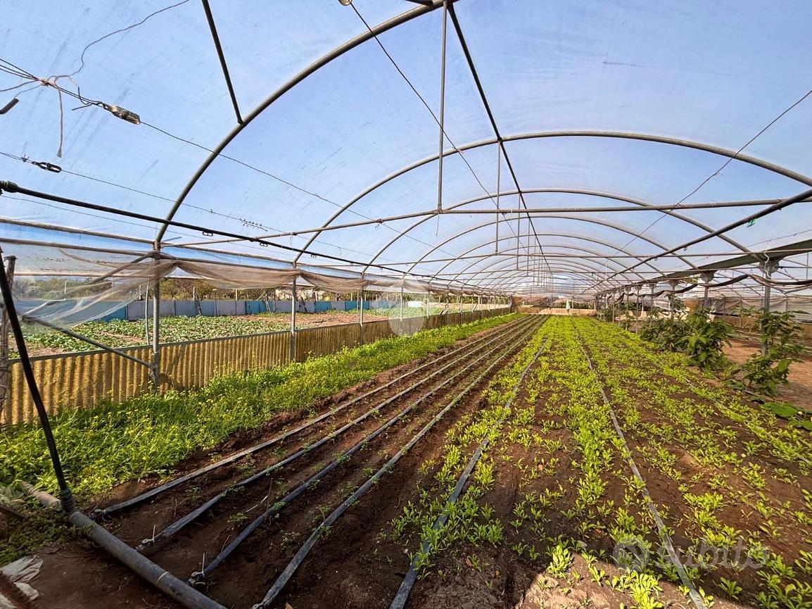 TERRENO A SANT'ANASTASIA - Vista 5