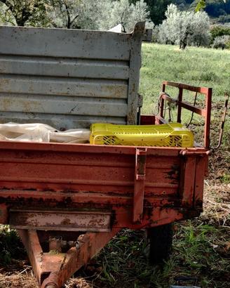 carrello + pianale