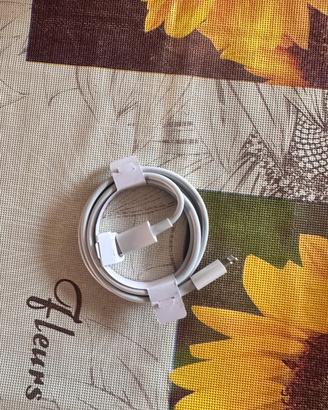 Cavo apple