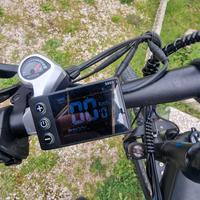 bicicletta elettrica 