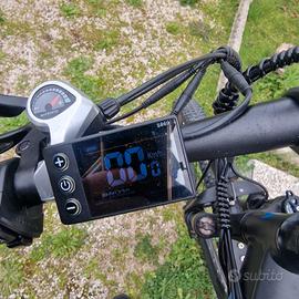 bicicletta elettrica 