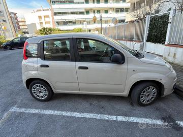 Panda 1.2 69cv Easy